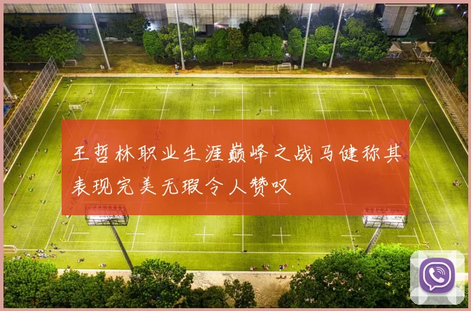 王哲林职业生涯巅峰之战马健称其表现完美无瑕令人赞叹